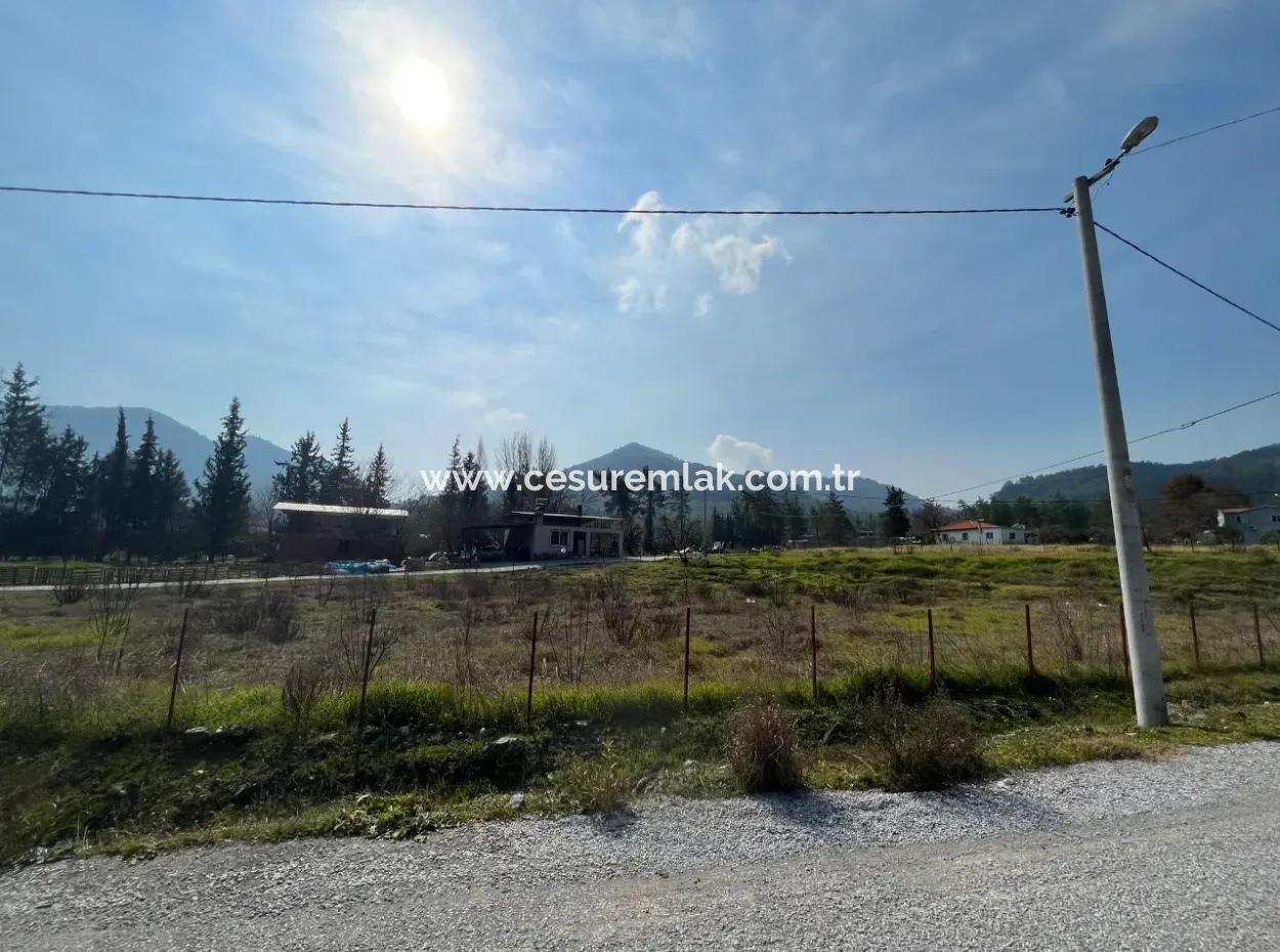 Karacaağaç 3000M2 Zum Verkauf Ref.code Von Cesur Emlak:gdk864