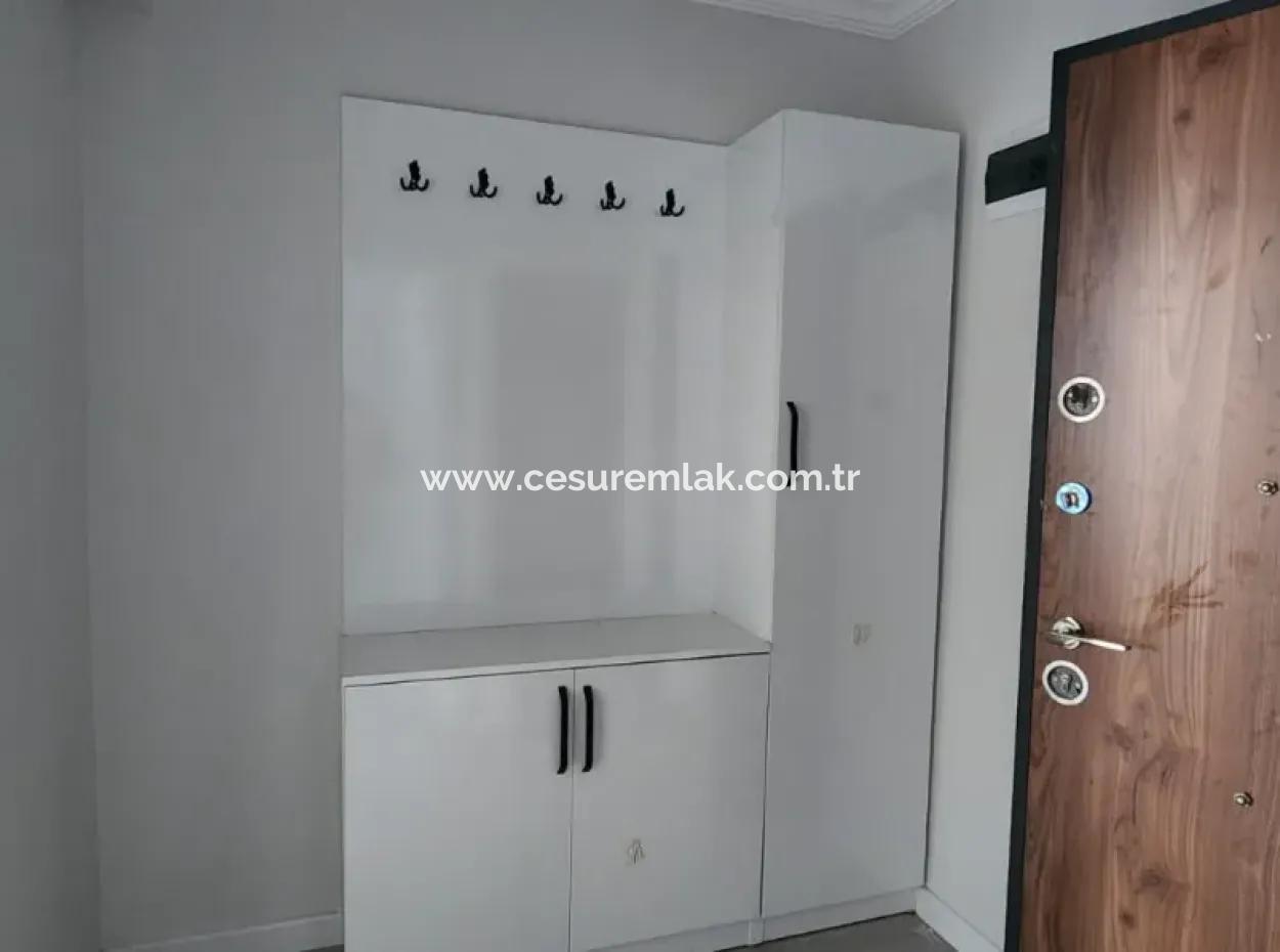 Freie 1 1 Wohnung Zur Miete Von Cesur Real Estate Ref.code:6753