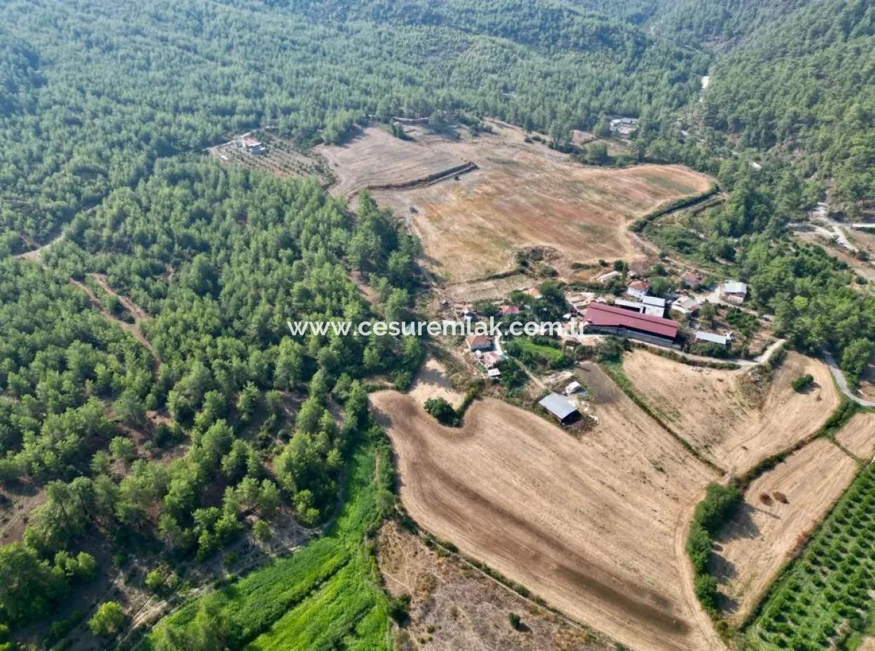 Dalaman Karacaağaç Mevkii 7003M2 Feld Zum Verkauf Ref.code:gdk784