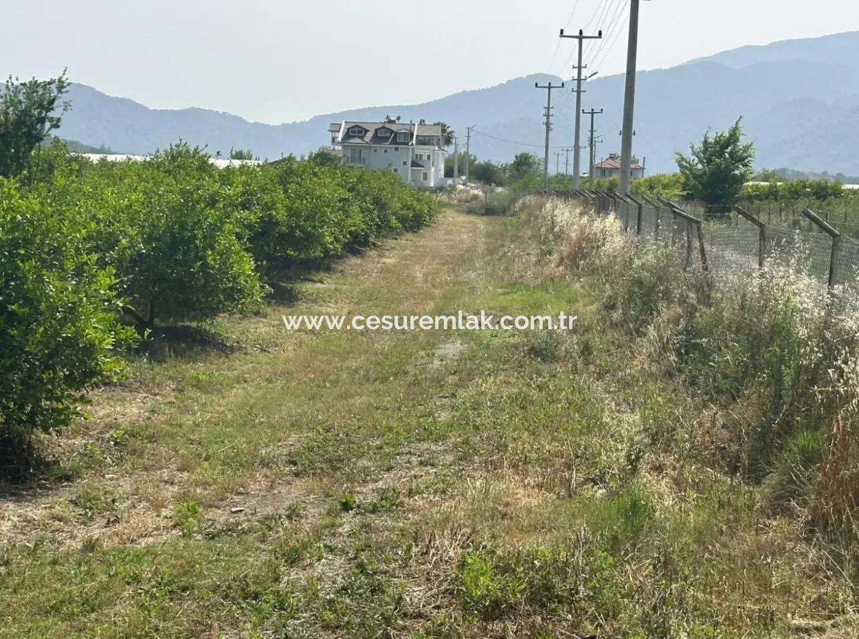 Durchschnittliches Jahreseinkommen Von 100.000 Dollar 25609M2 Garten Zum Verkauf 5-6 Minuten Vom Dalyan Center Entfernt