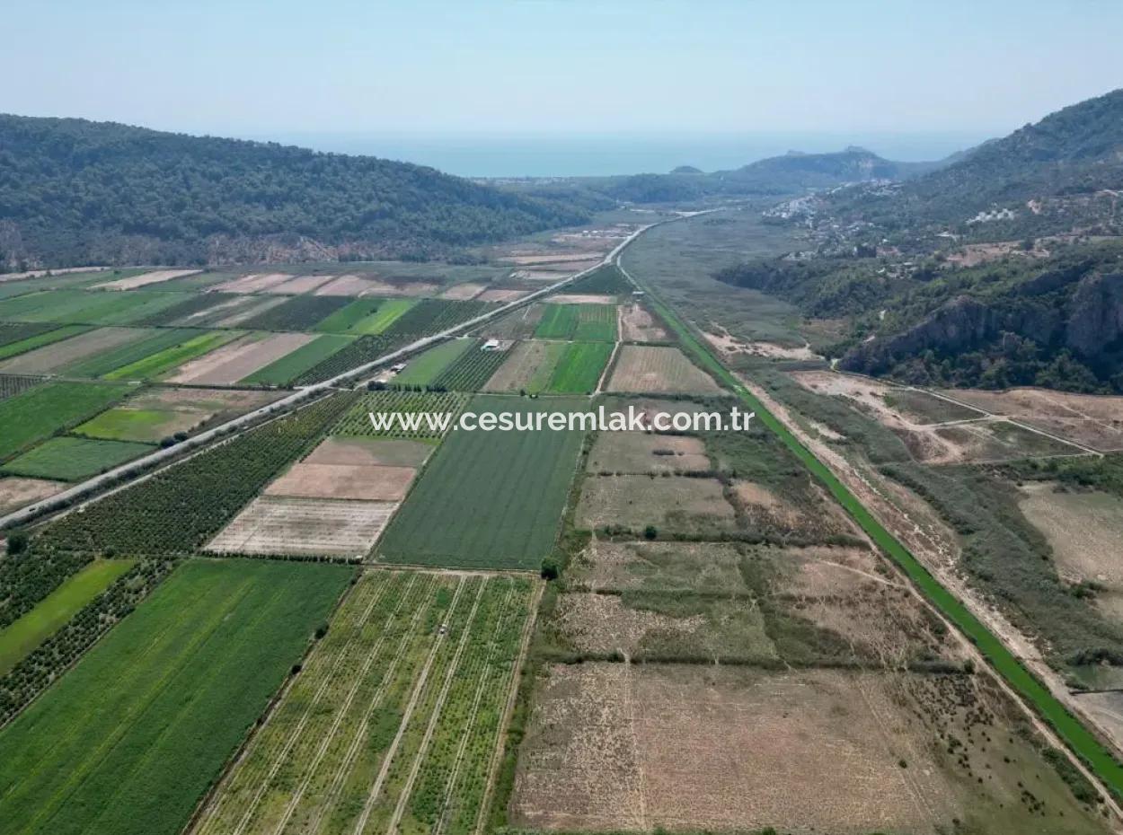 719M2 Grundstück Zum Verkauf Von Cesur Real Estate Güzelyurt Ortaca Sarıgerme Straßenfront