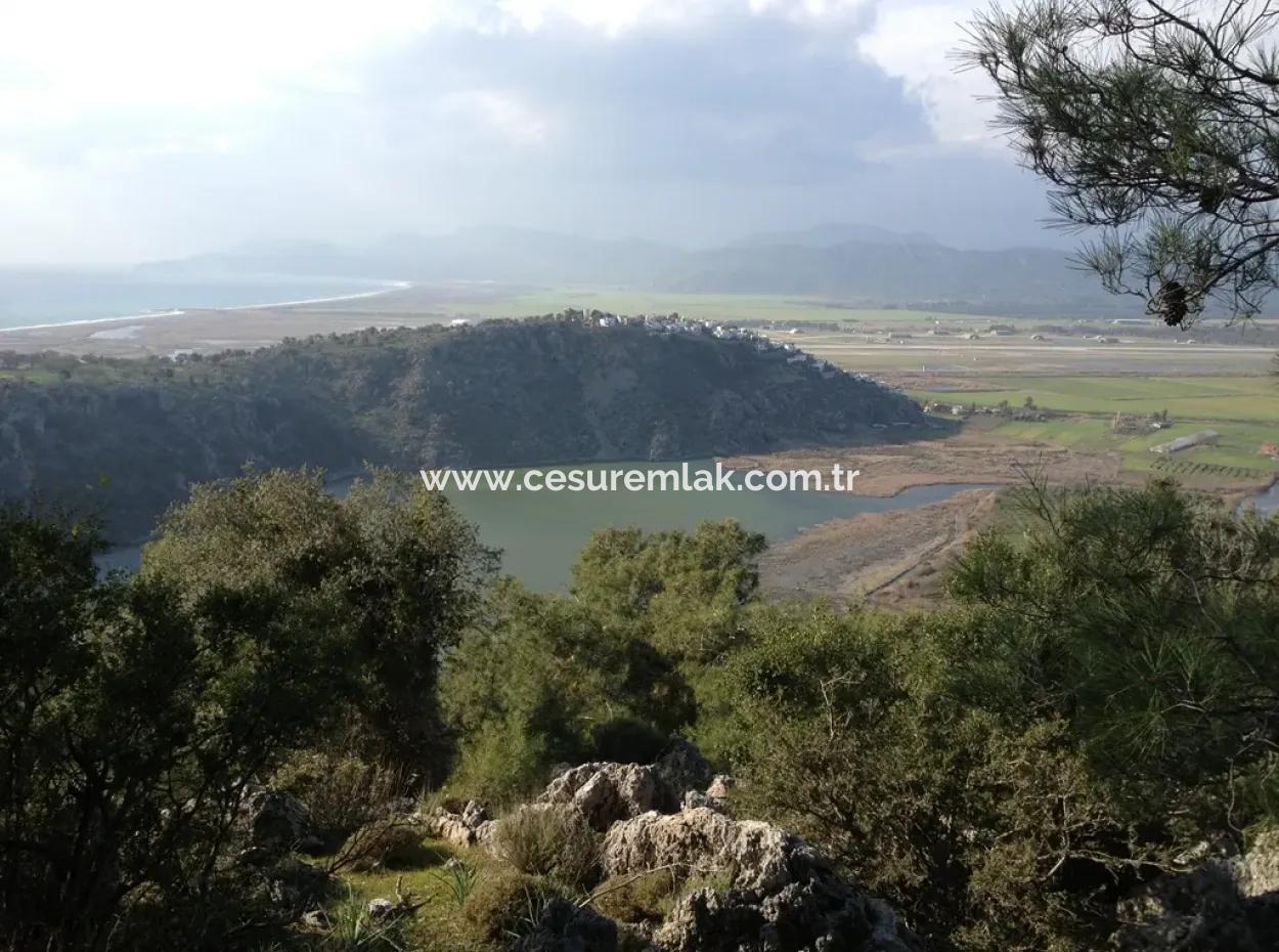 Dalaman Cesur Immobilien 67 Acres Land Refcode In Kapukarg:gdk570