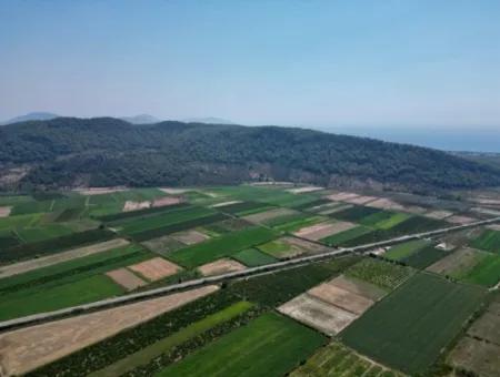 Zu Verkaufen In Ortaca Güzelyurt 33165M2 Leeres Feld