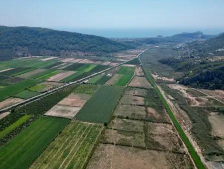 Zu Verkaufen In Ortaca Güzelyurt 33165M2 Leeres Feld