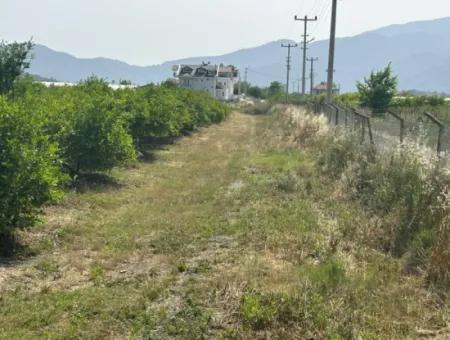 Durchschnittliches Jahreseinkommen Von 100.000 Dollar 25609M2 Garten Zum Verkauf 5-6 Minuten Vom Dalyan Center Entfernt