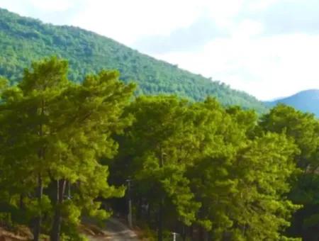 75M2 Unten 75M2 Oben = 150M2 Terrasse Baugenehmigung Balkon 1000M2 Einzeleigentumsurkunde Parzelle Mit Blick Auf Die Natur In Gökçeovacik