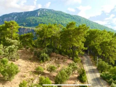 75M2 Unten 75M2 Oben = 150M2 Terrasse Baugenehmigung Balkon 1000M2 Einzeleigentumsurkunde Parzelle Mit Blick Auf Die Natur In Gökçeovacik