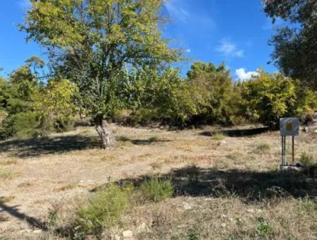 1049M2 Feld Mit Steinhaus In Dalaman Kapkarg