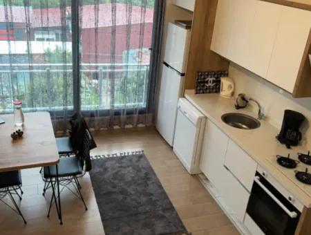 2 1 Möblierte Maisonette-Wohnungen Zu Vermieten In Pool Residence Refcode:6300