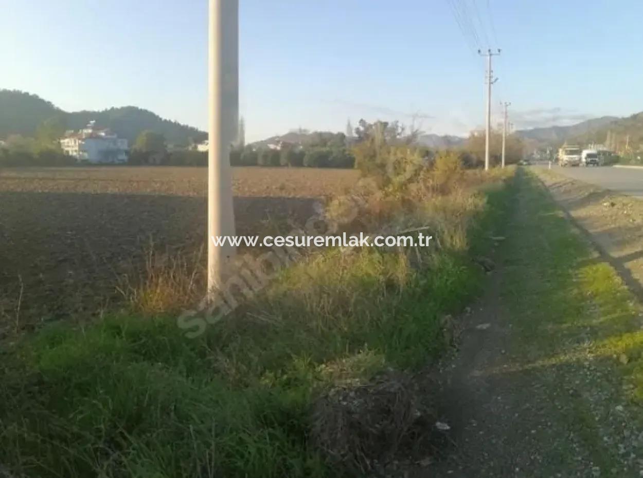 8797M2 Field Ref.code For Sale In Atakent From Cesur Real Estate:dma1107