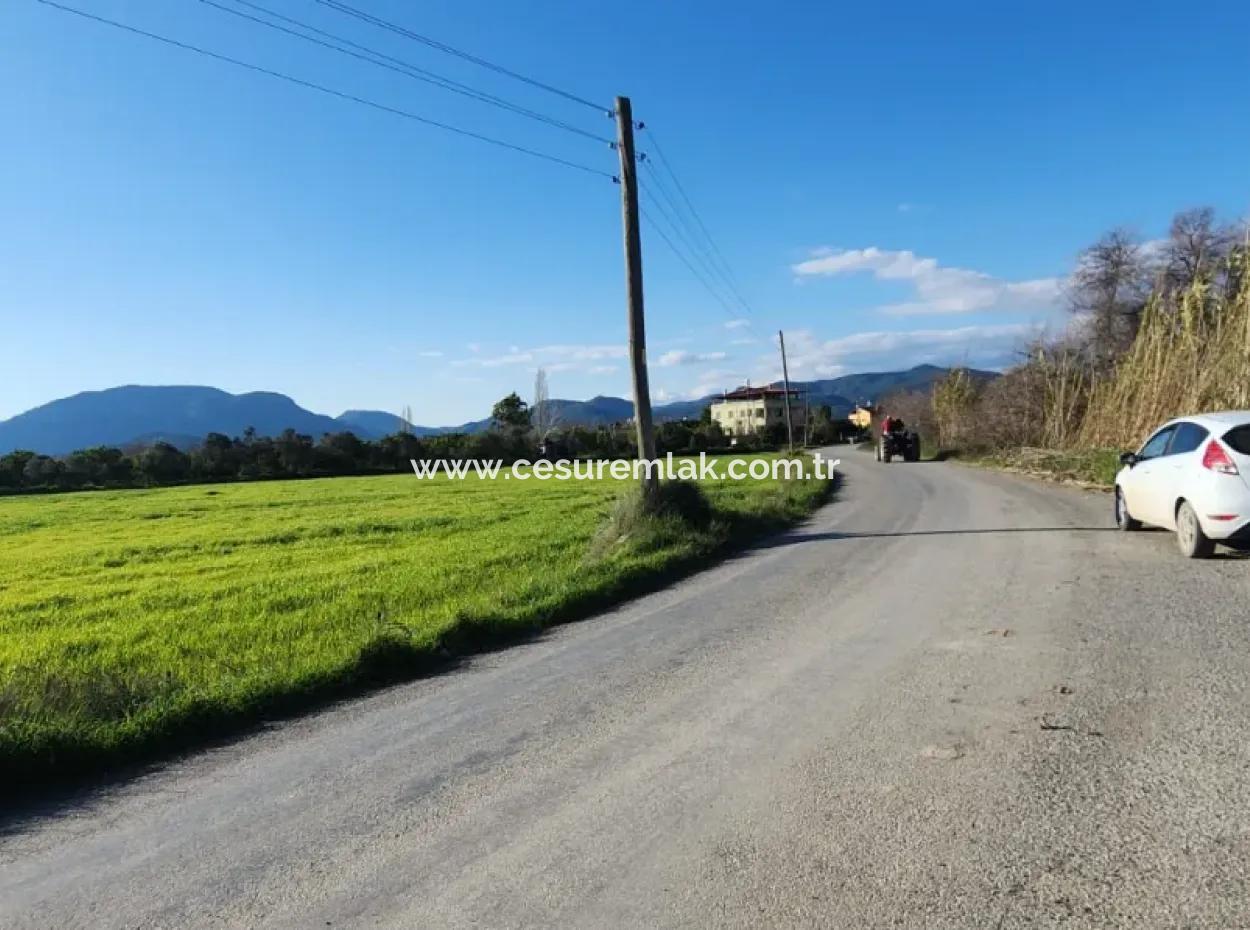 1950M2 Land Plot For Sale In Fevziye From Cesur Emlak Ref.code:sk817