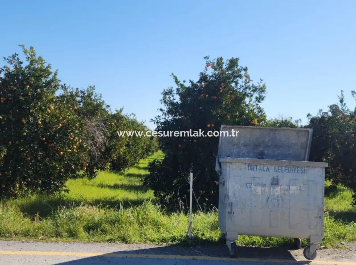 19.275M2 Field For Sale In Ortaca Akıncı From Cesur Emlak