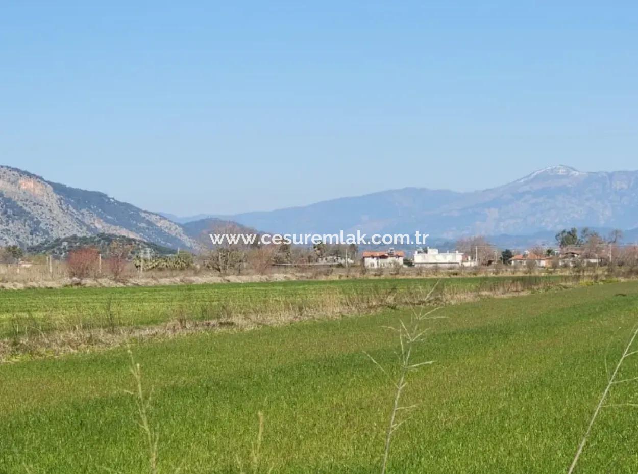 Cesur Emlak'dan Sarıgerme For Sale 5000M2 Tarla Ref.code:sk818