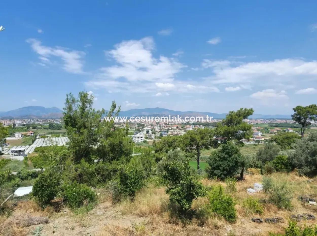 778M2 Land For Sale In Dalaman Şerefler Ref.code:gdk893