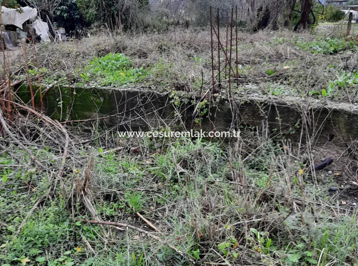 469M2 Field For Sale In Fevziye From Cesur Emlak Ref.code:sk813