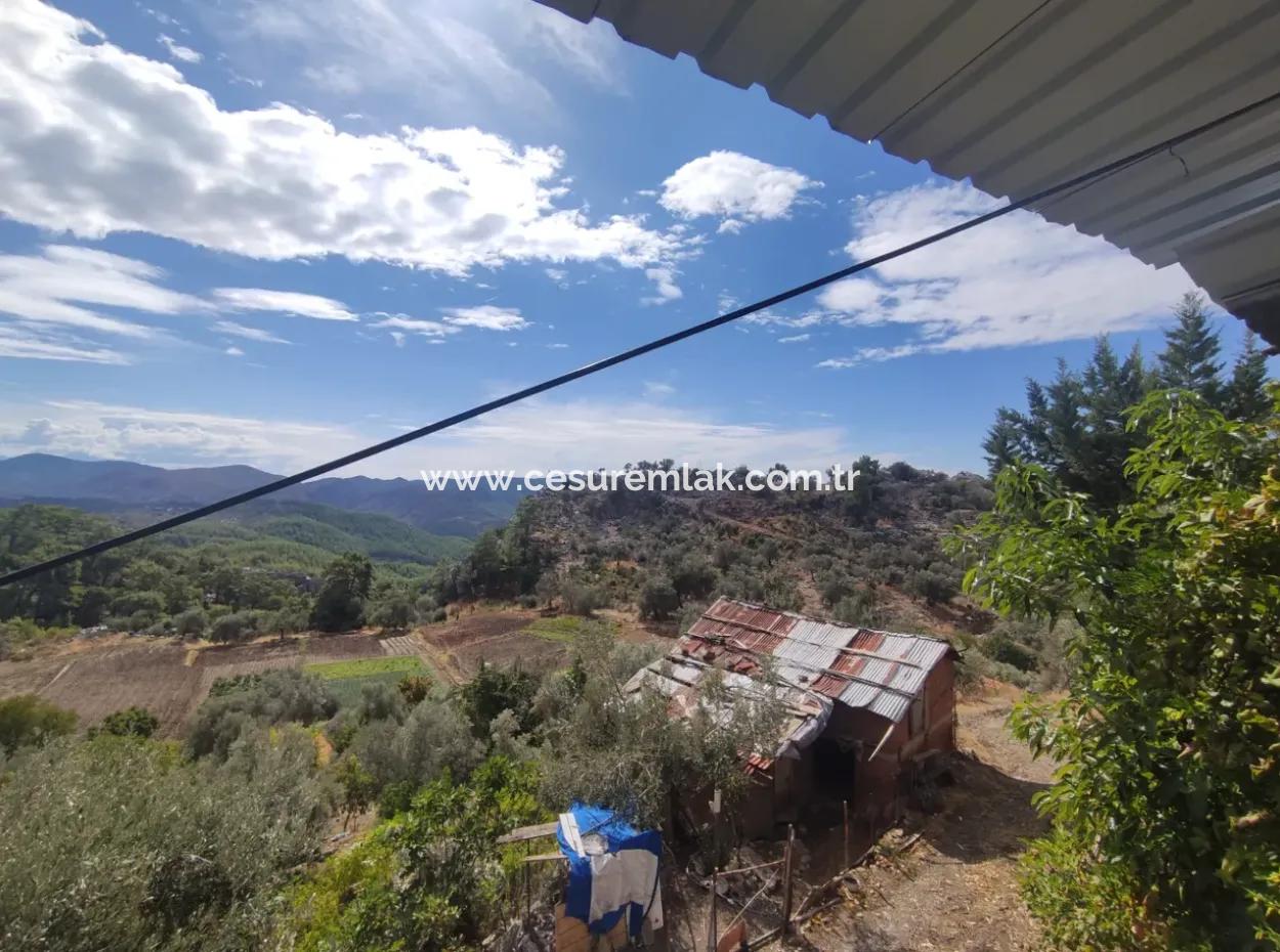 Fields For Sale In Kızılkaya From Cesur Real Estate Ref.code:gdk841