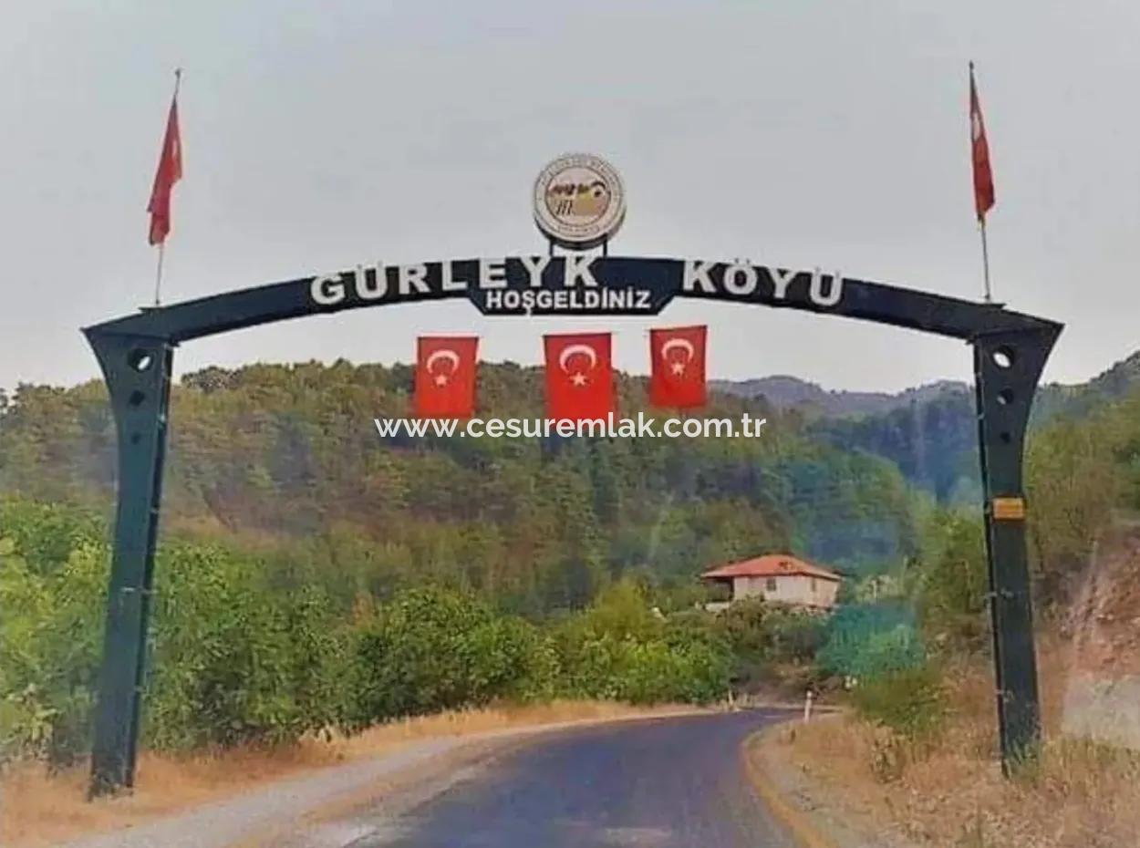 978M2 Single Title Deed Field In Dalaman Gurleyik From Cesur Emlak