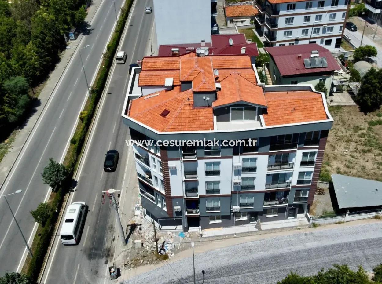 40M2 Street Corner Shop On Gazi Boulevard