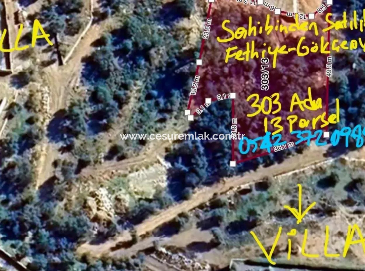 For Sale From Cesur Real Estate Gökçeovacık Ta 2308M2 Nature Sea Land