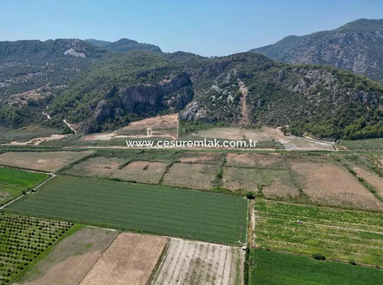 For Sale In Ortaca Güzelyurt 33165M2 Empty Field