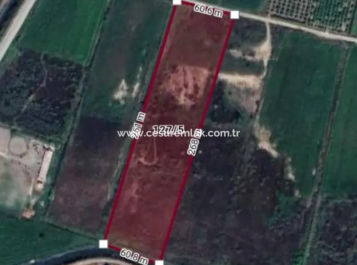 16000M2 Empty Field For Sale In Ortaca Güzelyurt Ref.code:sk857