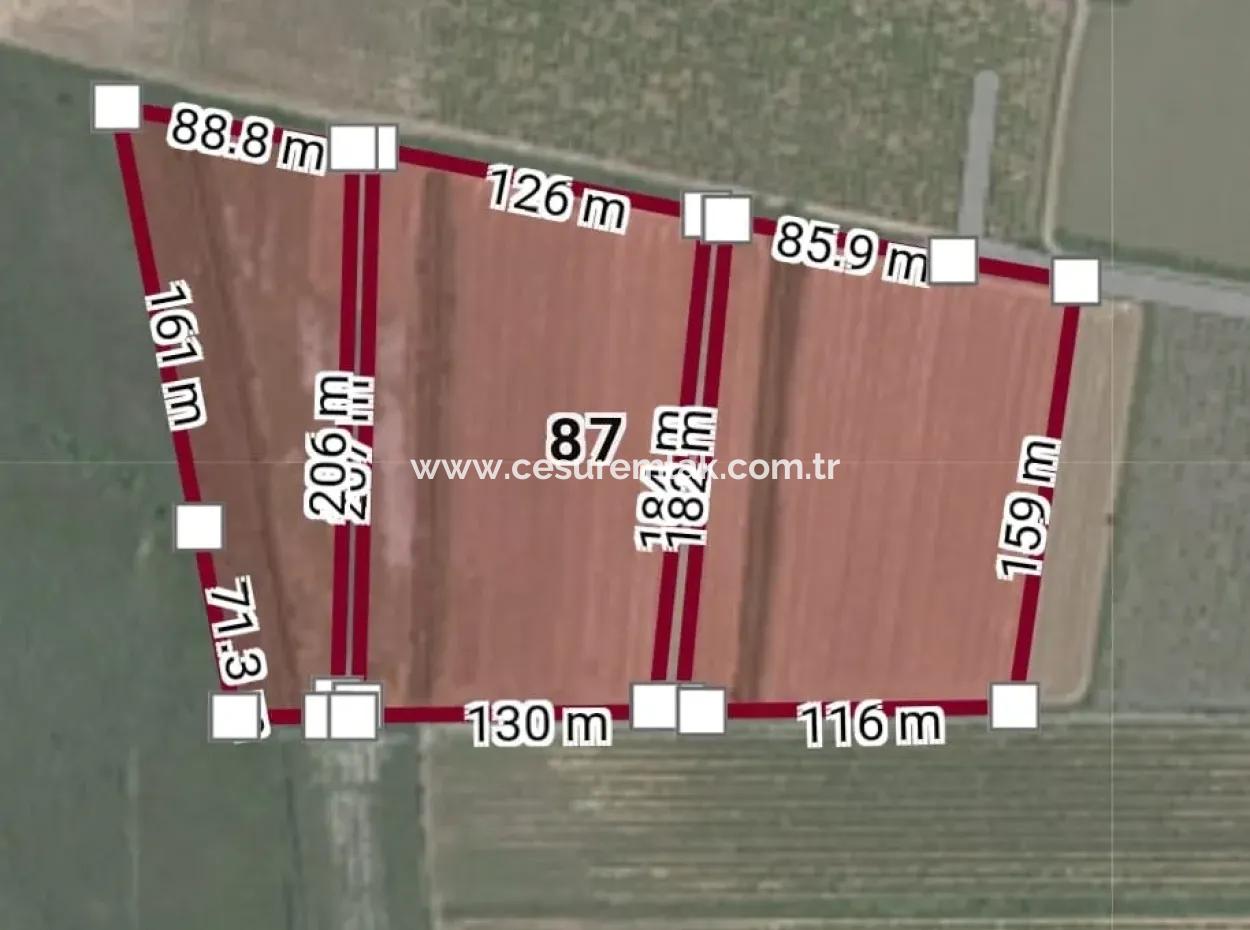 59184M2 Empty Field Close To The Center Of Dalyan Tepeara