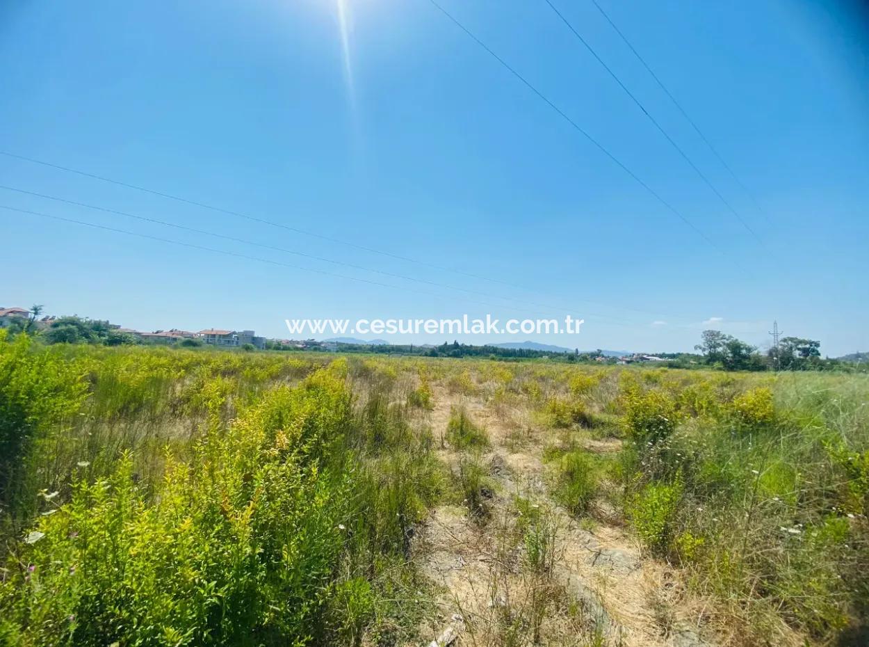 3275M2 Land For Sale Close To Fethiye Road Ref.code:dma1168