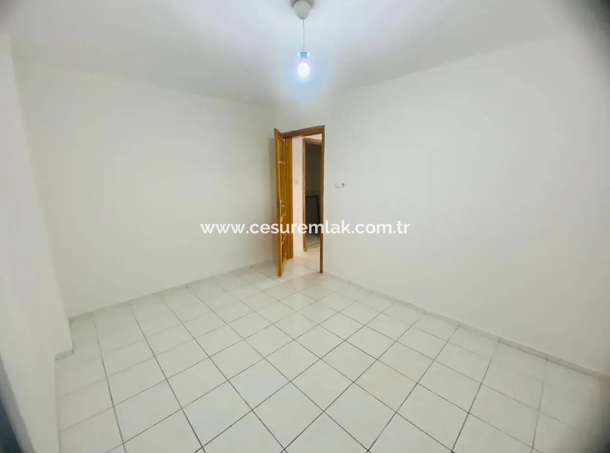 Atatürk Caddenda Commercial Or Office For Rent Ref.code:6963