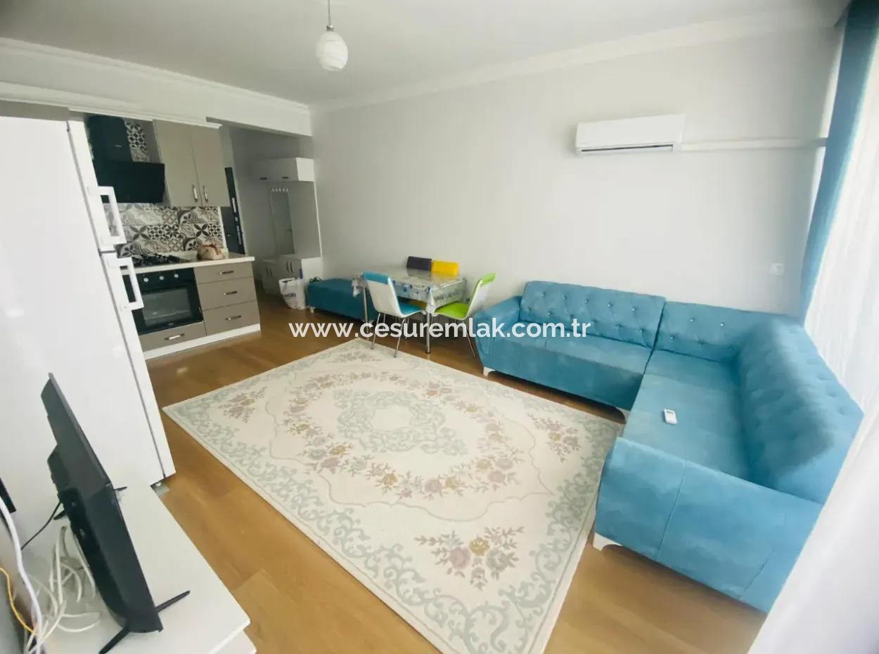 Furnished 1 1 Apartment For Rent In A Complex With Pool Refcode:6823