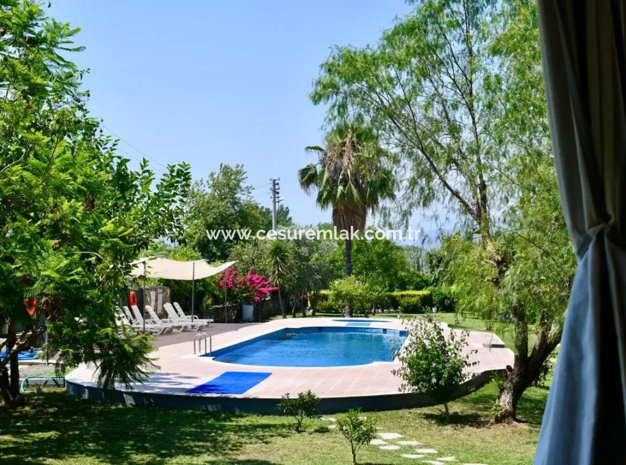 Furnished 2 1 Apartments For Rent In A Complex With Pool Ref.code:6981