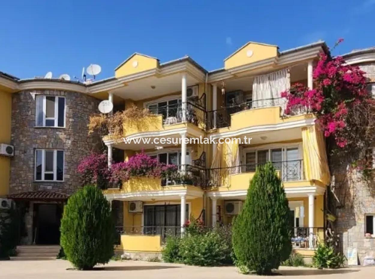 2 1 Furnished Apartments For Rent In A Boutique Poolless Site Refcode:6987