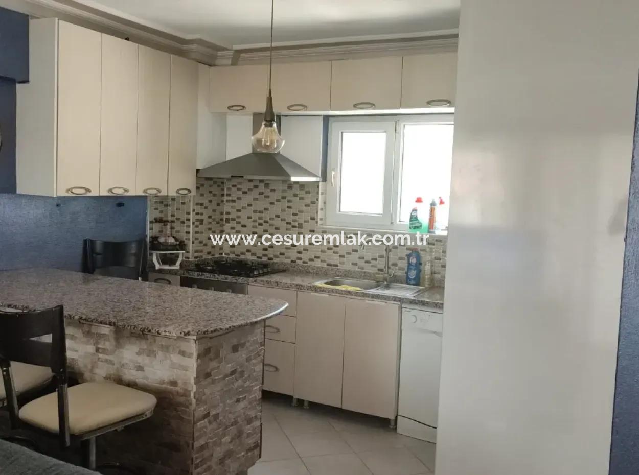 2 1 Furnished Apartments For Rent In A Boutique Poolless Site Refcode:6987