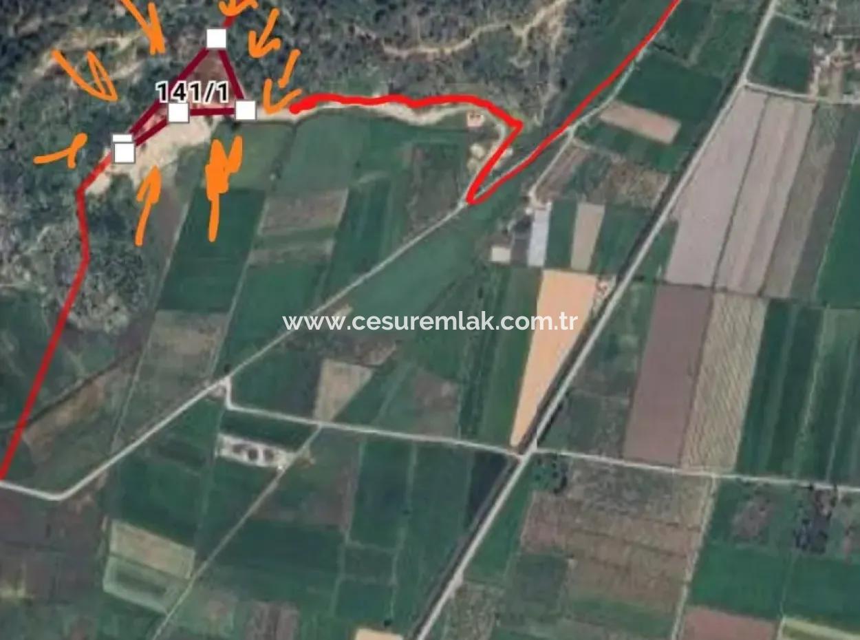 12.466M2 Olive Property For Sale From Cesur Real Estate Close To Sarigerme Road In Güzelyurt