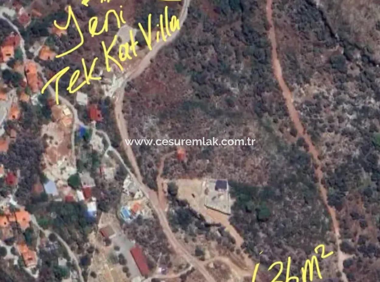 636M2 Olive Grove For Sale With Mountain And Nature View In Dalaman Şerefler