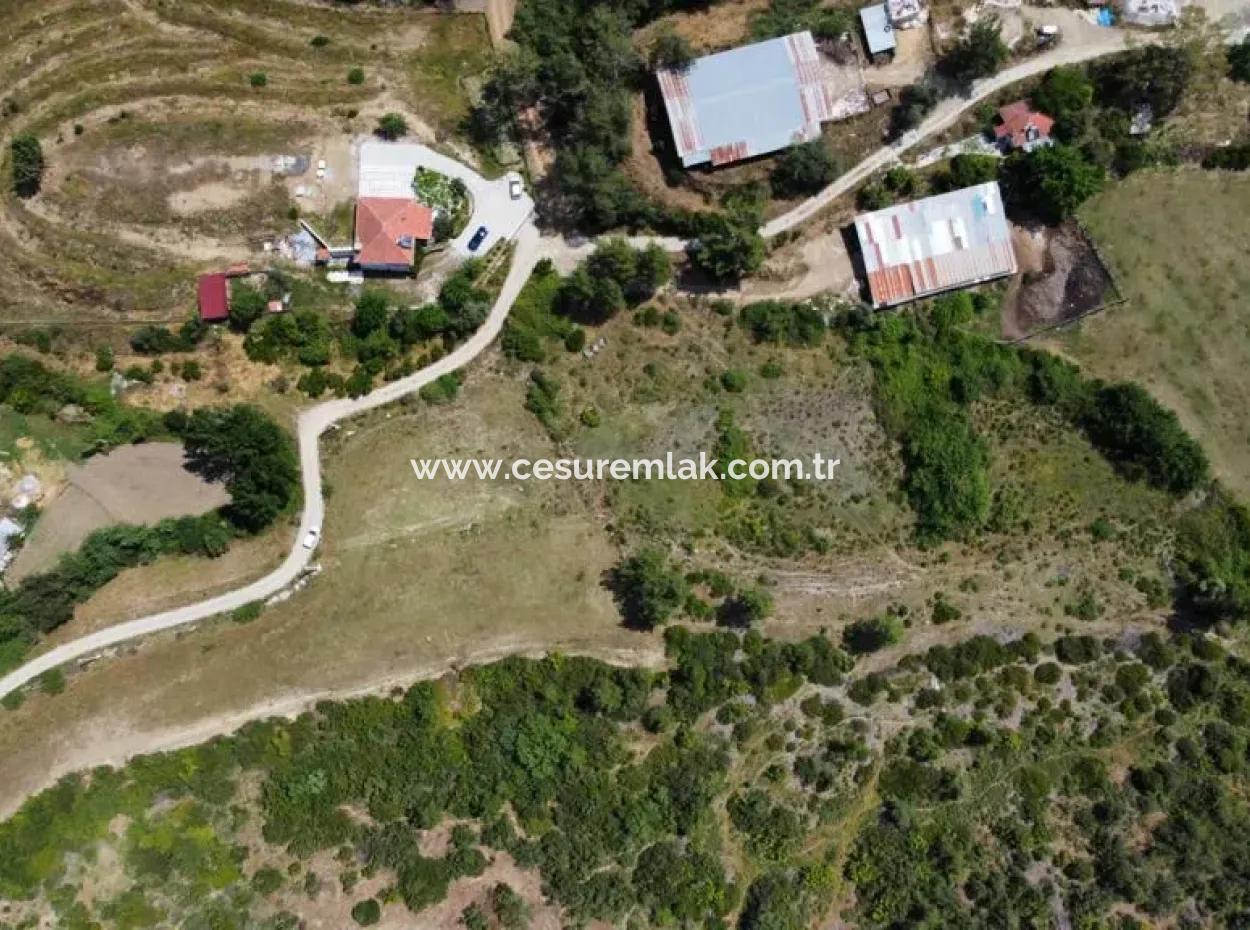 6574M2 Land Becomes A Villa Or Motor Yacht Swap ( Turkey General )