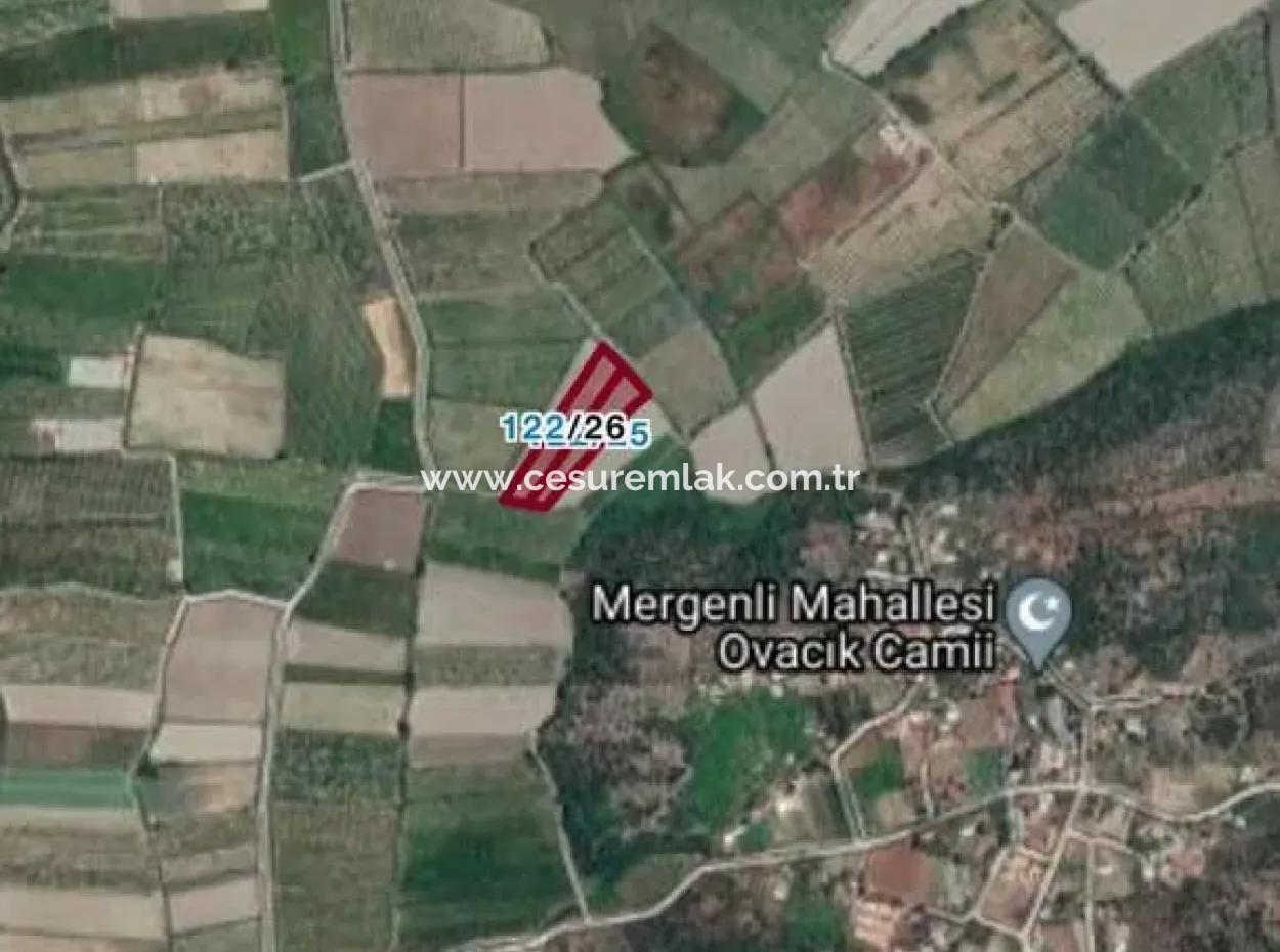 4876M2 5127M2 For Sale 2 Parcel Sk737 In Ortaca Mergenli