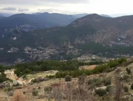 978M2 Single Title Deed Field In Dalaman Gurleyik From Cesur Emlak