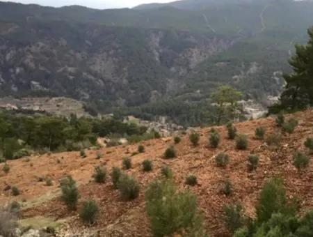 978M2 Single Title Deed Field In Dalaman Gurleyik From Cesur Emlak