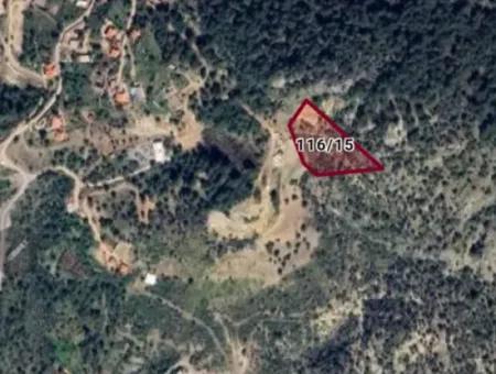 7269M2 Olive Worth For Sale In Dalyan Gökbel From Cesur Real Estate