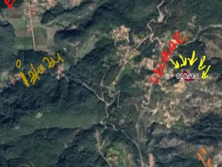 7269M2 Olive Worth For Sale In Dalyan Gökbel From Cesur Real Estate