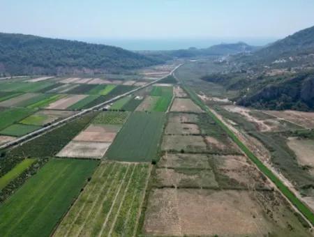 For Sale In Ortaca Güzelyurt 33165M2 Empty Field