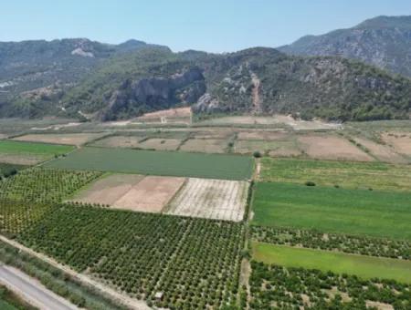 For Sale In Ortaca Güzelyurt 33165M2 Empty Field