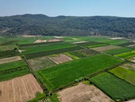 For Sale In Ortaca Güzelyurt 33165M2 Empty Field