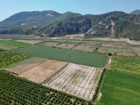 For Sale In Ortaca Güzelyurt 33165M2 Empty Field