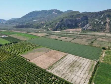 For Sale In Ortaca Güzelyurt 33165M2 Empty Field