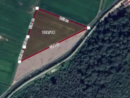 12000M2 Empty Field For Sale In Ortaca Güzelyurt Ref.code:sk854