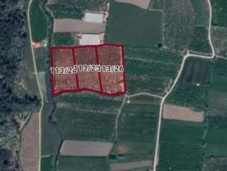 36790M2 Citrus Garden For Sale In Ortaca Mergenli Ref.code:sk855