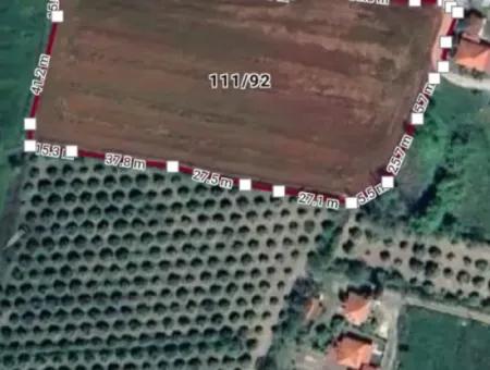 9874M2 Empty Field For Sale In Ortaca Akıncı Ref.code:sk861