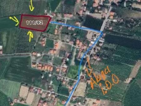 9874M2 Empty Field For Sale In Ortaca Akıncı Ref.code:sk861