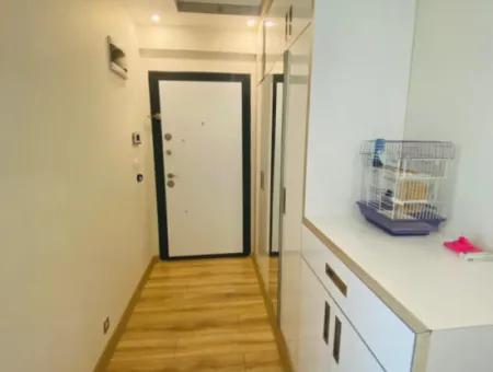 Closed Kitchen 3 1 Large Apartment For Sale Refcode:6967